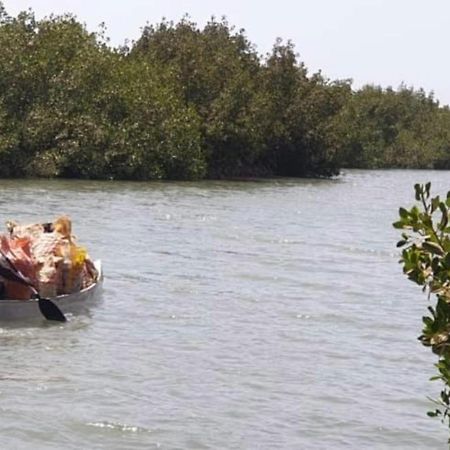 Mangrove Beach Sanyang Exterior foto