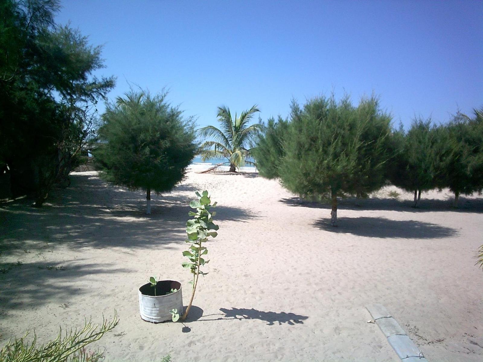 Mangrove Beach Sanyang Exterior foto